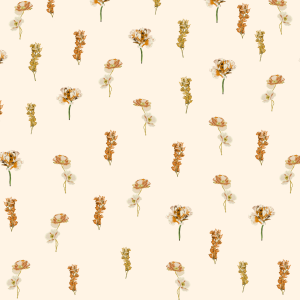 Brisa De Noche Bodysuit